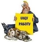 Центры занятости населения города Ярославля Центры занятости населения города Ярославля